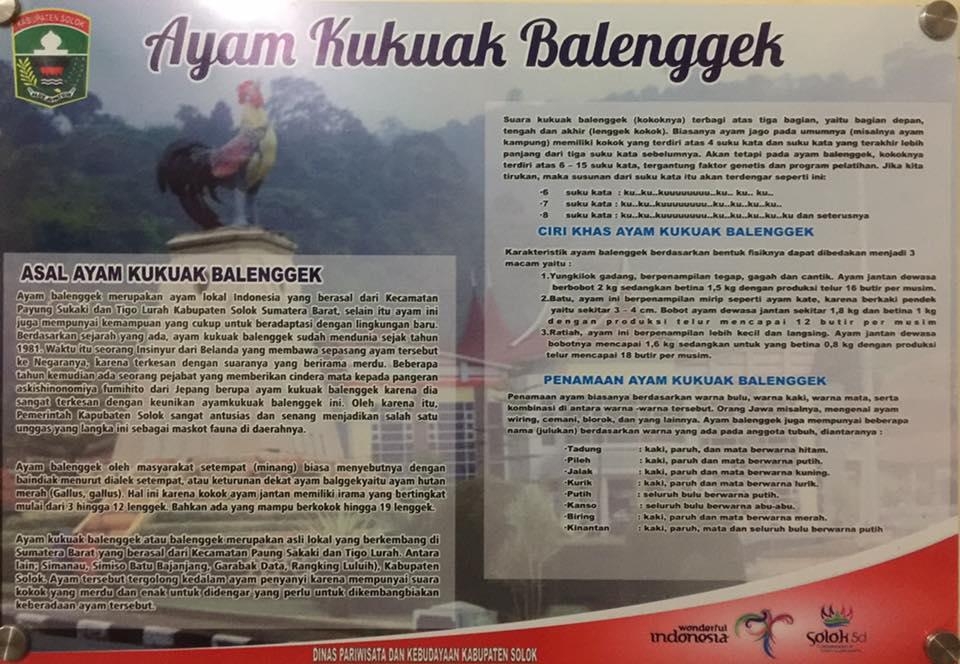 Hewan Khas Kab. Solok